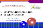 Cours 7 lymphocyte b et immunoglobulines