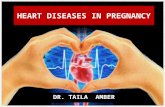 Heart disease in pregnancy - Dr Taila Amber