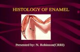 Histology of Enamel