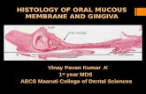 Histology of oral mucous membrane and gingiva