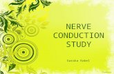 Nerve conduction study