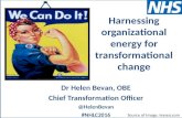 Harnessing organizational energy for transformational change by Helen Bevan 6 June 2016
