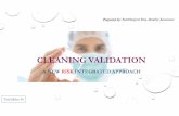 Cleaning validation a risk integrated approach