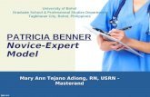 Patricia Benner (Novice to Expert Theory)