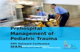 Prehospital Care of the Pediatric Trauma Patient