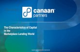 The Characteristics of Capital  in the  Marketplace Lending World