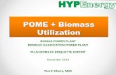 Palm Oil Mill Waste Utilization (biogas, biomass briquette, biomass gasification)