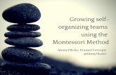 Growing self organization teams using the montessori method