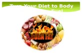 E factor Diet : Turn your diet to body fat burning fuel
