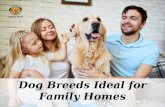 Dog Breeds Ideal for Family Homes