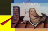 516 - Russian cats 3