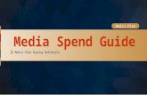 Media spend level