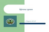 Nervous system Chapters 48-49.