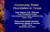 Community Water Fluoridation in Texas Tom Napier, P.E., Director Texas Fluoridation Project Texas Department of State Health Services Austin, Texas Texas.