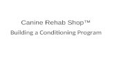 Building a Conditioning Program Canine Rehab Shop™