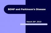 BDNF and Parkinson’s Disease March 26 th, 2010. What is Parkinson’s Disease? Progressive loss of dopaminergic neurons in the substantia nigra Reduction.