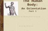 1 The Human Body: An Orientation Part 1. 2 Anatomy Ana- (apart) -tomy (to cut) The study of internal & external structures of the body and the physical.