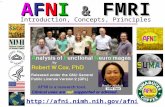 AFNI & FMRI Introduction, Concepts, Principles
