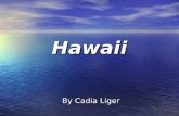 Hawaii By Cadia Liger. Aloha! That’s how you say “hello” in Hawaii! Here’s some interesting facts about Hawaii. Aloha! That’s how you say “hello” in Hawaii!