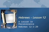 A Lesson in Perseverance Hebrews 12:1-29