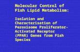 Molecular Control of Fish Lipid Metabolism: