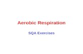Aerobic Respiration SQA Exercises. Aerobic Respiration – what you should know Respiration is the breakdown of f______ to release its e_______ Living cells.