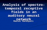 Analysis of spectro-temporal receptive fields in an auditory neural network Madhav Nandipati.