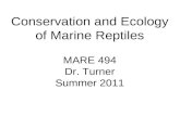 Conservation and Ecology of Marine Reptiles MARE 494 Dr. Turner Summer 2011.