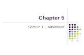 Chapter 5 Section 1 ~ Adulthood.