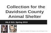 Collection for the Davidson County Animal Shelter INLS 513, Spring 2013 Hillary Fox, Kathleen Hill, Meaghan Lanier and Megan Proctor.