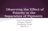 Observing the Effect of Polarity in the Separation of Pigments