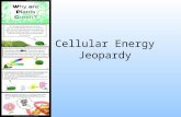 Cellular Energy Jeopardy. CR 1Ps 1CR 2Ps 2Misc. 100 200 300 400 500.