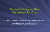 Revised Nitrogen Rate Guidelines for Corn Carrie Laboski, Larry Bundy, Todd Andraski UW-Madison, Soil Science.