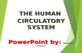 THE HUMAN CIRCULATORY SYSTEM PowerPoint by: Reynaldo Thomas.