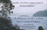 Pacific Urchin Harvesters Association A History of BC’s Red Sea Urchin Fishery Presented by: Mike Featherstone PUHA President.