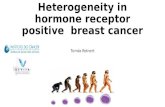 Heterogeneity in hormone receptor positive breast cancer