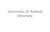 Overview of Animal Diversity. 31.1 Animals are multicellular heterotrophs without cell walls. Some General Features of Animals Animals are multicellular.