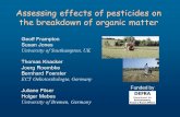 Assessing effects of pesticides on the breakdown of organic matter Geoff Frampton Susan Jones University of Southampton, UK Thomas Knacker Joerg Roembke.