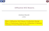 Diffractive W/Z Bosons Andrew Brandt UTA Run I Diffractive W/Z Boson Production Recap Run II Preliminary Search for Diffractive Z Bosons (Courtesy of Tamsin.