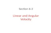 Section 6-2 Linear and Angular Velocity. Angular displacement – As any circular object rotates counterclockwise about its center, an object at the edge.