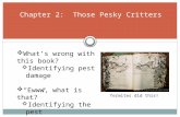Chapter 2: Those Pesky Critters  What’s wrong with this book?  Identifying pest damage  “Ewww, what is that?”  Identifying the pest Termites did this!