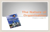 The Nature of Organisation Chapter 2, page 55. Structure of Part 1: The Nature of Organisations The concept and role of organisations Elements of an organisation.