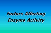 Factors Affecting Enzyme Activity. Enzymes are large globular proteins… They have a precise 3-D shape Some have quaternary structure The ‘active site’