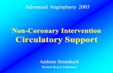 AB 1/03 Non-Coronary Intervention Circulatory Support Advanced Angioplasty 2003 Andreas Baumbach Bristol Royal Infirmary.