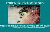 FORENSIC ENTOMOLOGY “When one biological clock stops, others begin.”