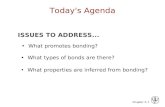 Today's Agenda ISSUES TO ADDRESS... • What promotes bonding?
