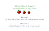 Short Vowel Sounds by Melynn Bailey & Kelly Stover Purpose: To select the picture with the correct vowel sounds. Directions: Select the picture for each.