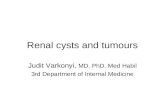 Renal cysts and tumours