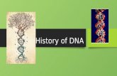 History of DNA Scientific history The journey to understanding that DNA is our genetic material T.H. Morgan (1908) Frederick Griffith (1928) Avery, McCarty,