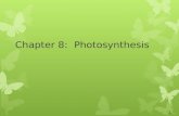 Chapter 8: Photosynthesis 1. Energy and Life Energy – the ability to do work No energy = no life Thermodynamics is the study of the flow and transformation.